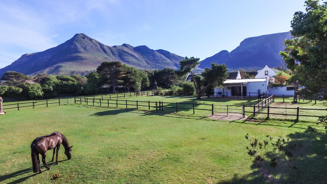 Small Holding For Sale in Noordhoek